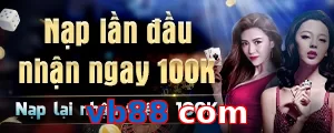 vb88 com
