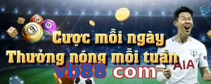 vb88 com